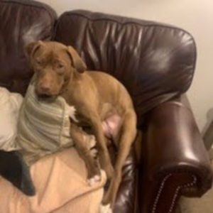 Meet your Posher, Eva